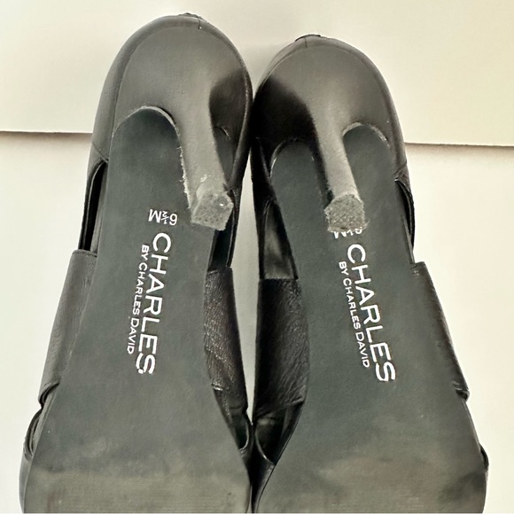 Charles David Reform Open Toe Sandal - Picture 6 of 12